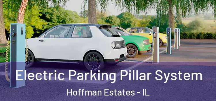  Electric Parking Pillar System Hoffman Estates - IL
