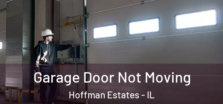  Garage Door Not Moving Hoffman Estates - IL