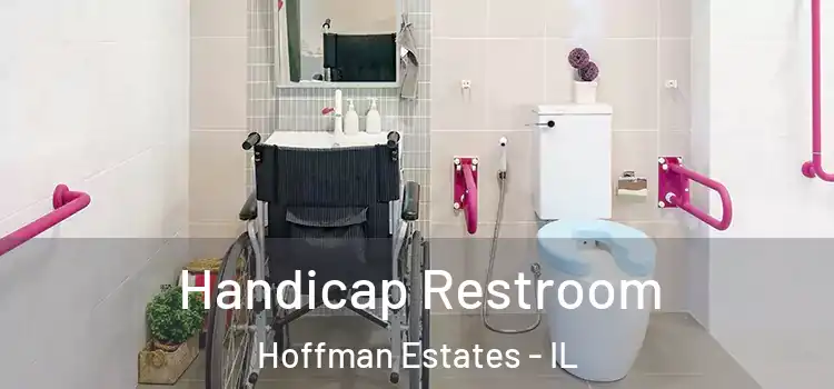  Handicap Restroom Hoffman Estates - IL