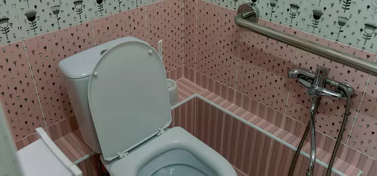 Meeting Diverse Needs With Accessible Restroom Solutions in Hoffman Estates, IL