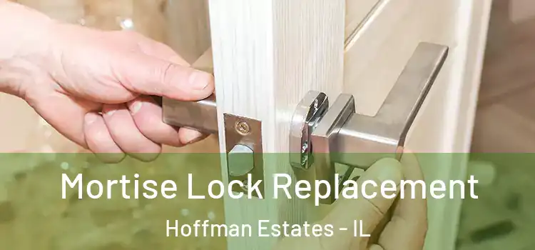  Mortise Lock Replacement Hoffman Estates - IL